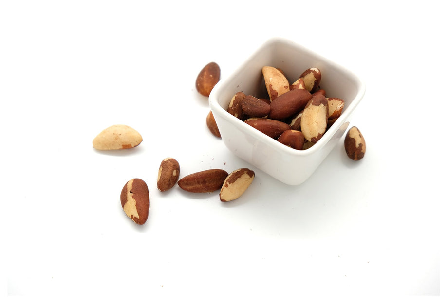 BRIESTA ブリエスタ AmericanSky NUTS brazil-nuts-3_460x@2x.jpg?v=